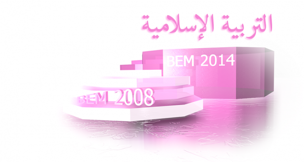 BEM2008 BEM2008