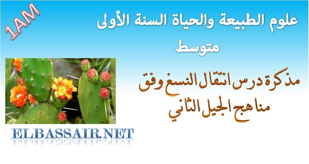 مذكرة درس انتقال النسغ وفق مناهج الجيل الثاني السنة الاولى متوسط مادة علوم الطبيعة والحياة عيون البصائر