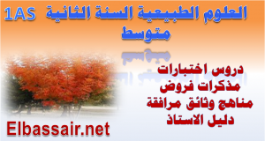 http://elbassair.net