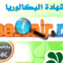 http://elbassair.net