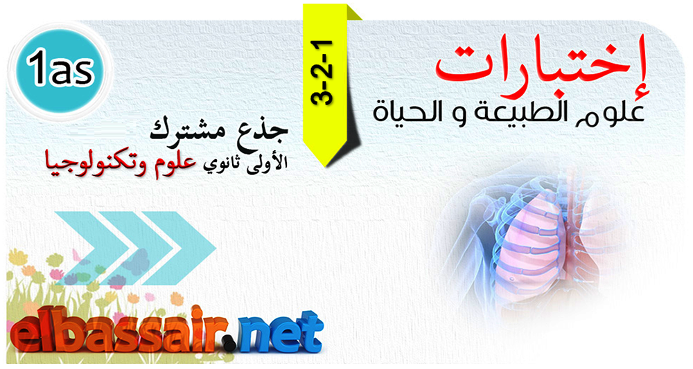 http://elbassair.net/